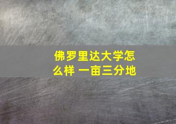 佛罗里达大学怎么样 一亩三分地